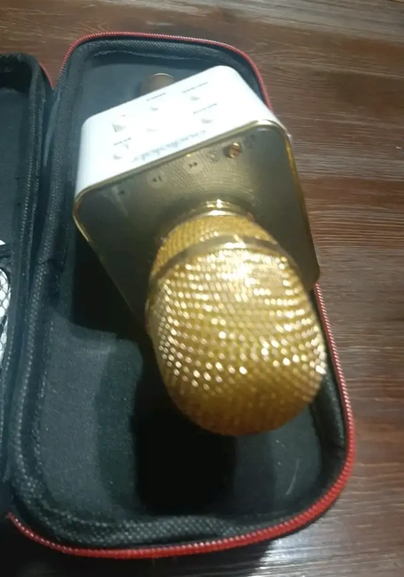 Micrófono karaoke dorado con estuche - 3