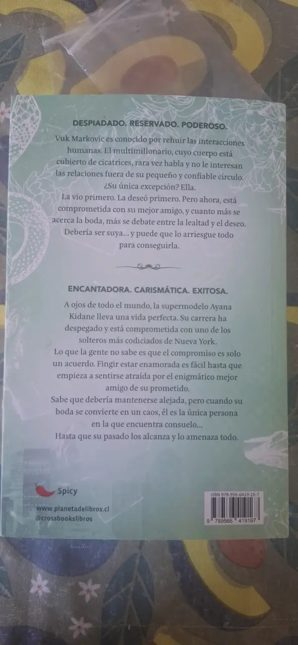 Libro rey de la envidia, Ana huang - 1