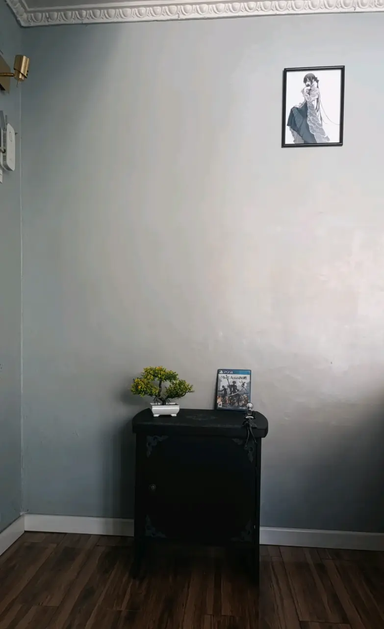 Mueble negro con decoración - 3