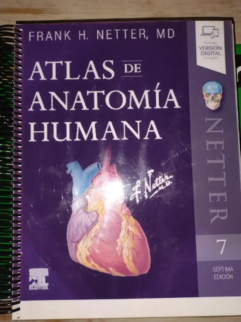 Atlas de Anatomía Humana Netter 7ª Edición - 1