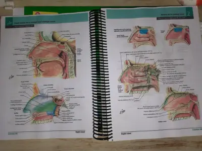 Atlas de Anatomía Humana Netter 7ª Edición - miniatura 2