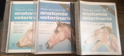 Atlas de anatomía veterinaria - miniatura 1