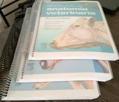 Atlas de anatomía veterinaria - miniatura 2