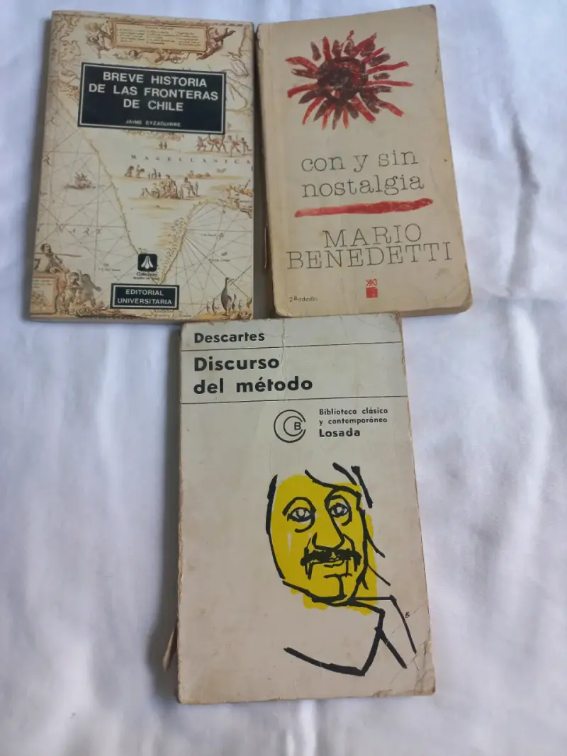 Lote de libros clásicos usados