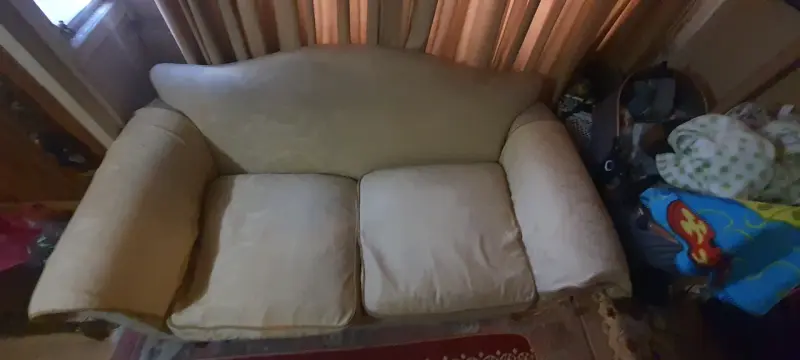 Juego de Sofá beige dos cuerpos y 2 de un cuerpo - 2