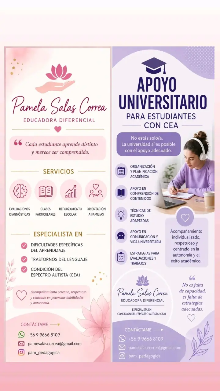 Servicios de apoyo educativo
