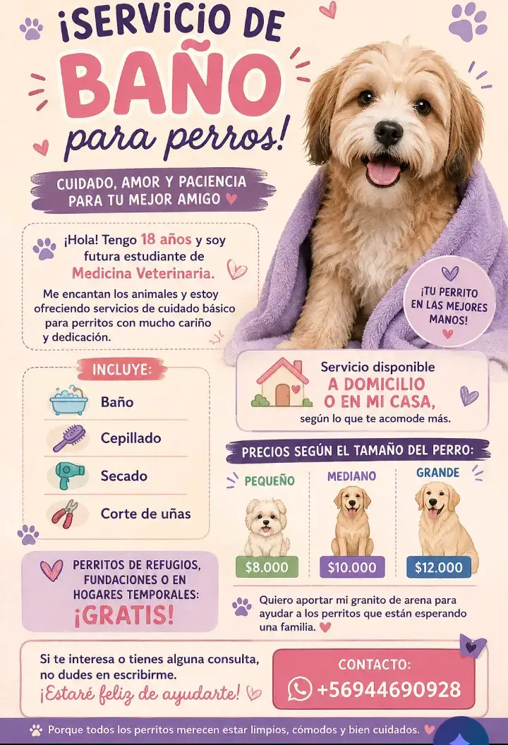 Servicio de baño para perros