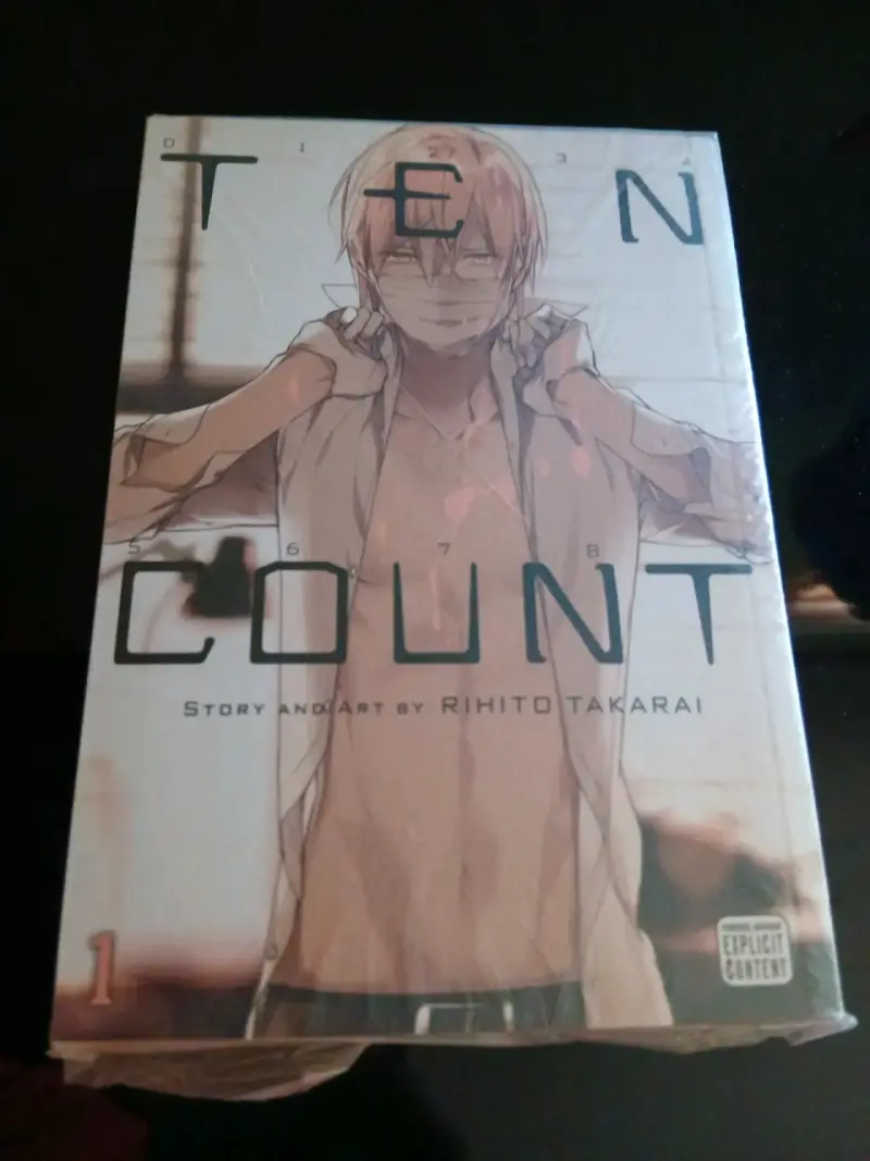 Manga Ten Count de Rihito Takarai - 6