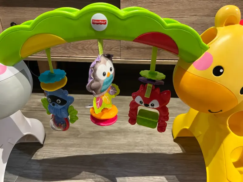 Gimnasio infantil de animales Fisher Price - 2