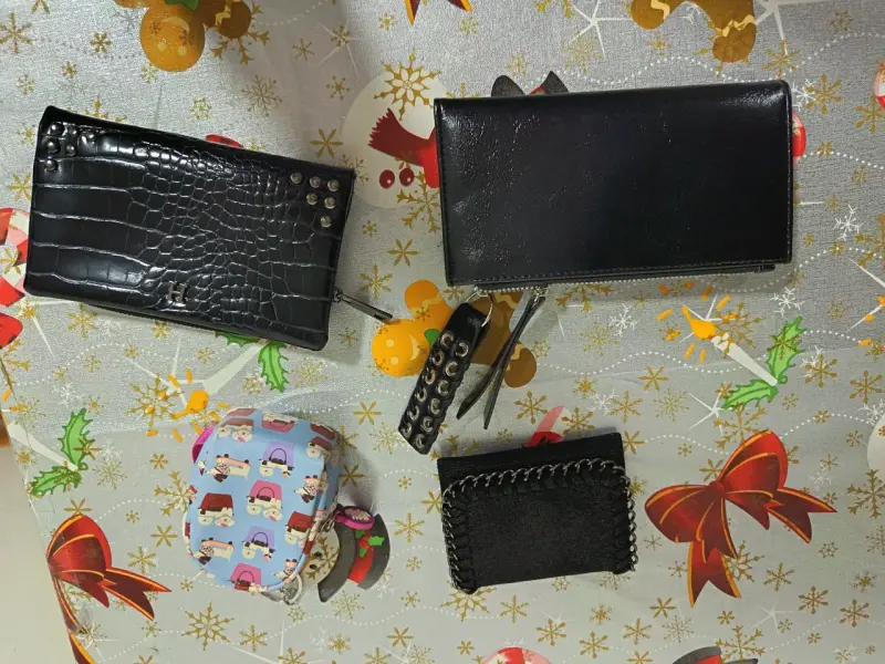 Bolso  cartera y billeteras - 11