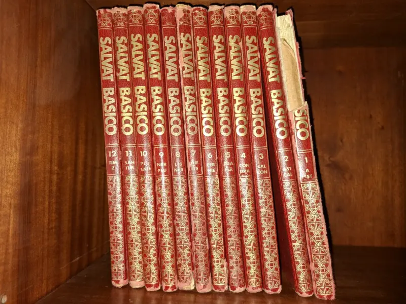Diccionario Enciclopedia Salvat Básico - 1