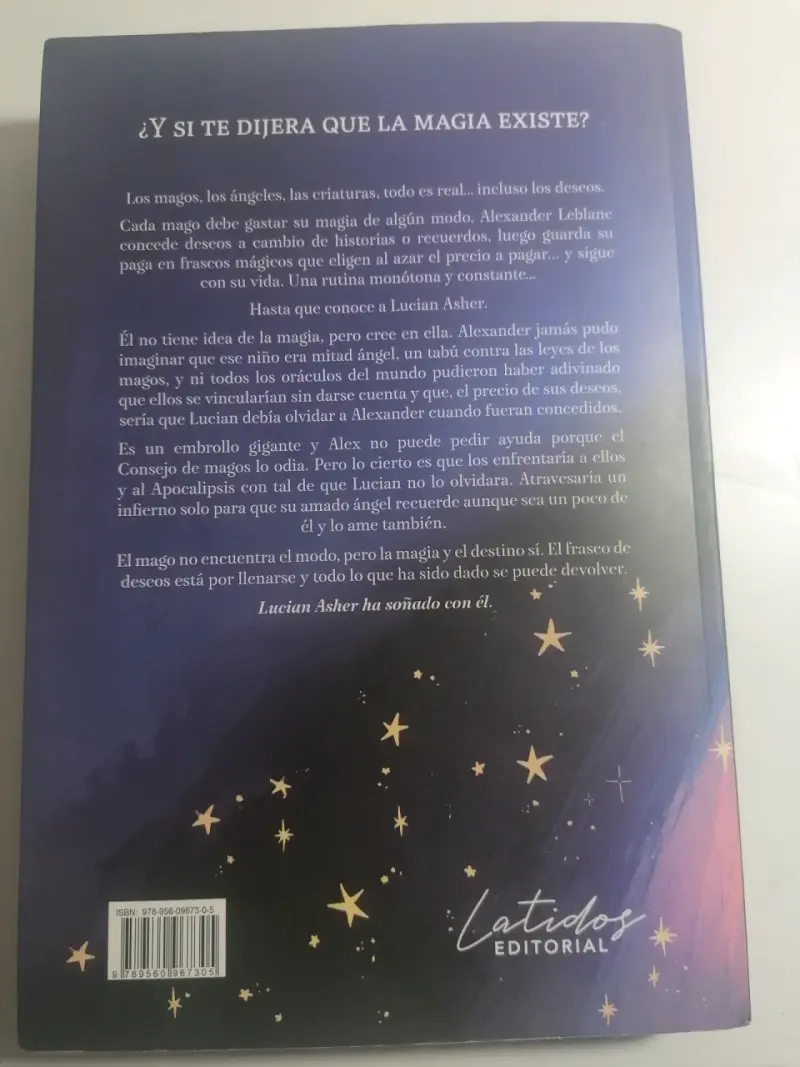 Libro 'Wishes' ilustrado - 2