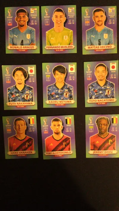 láminas de fútbol mundial 2022 - miniatura 3