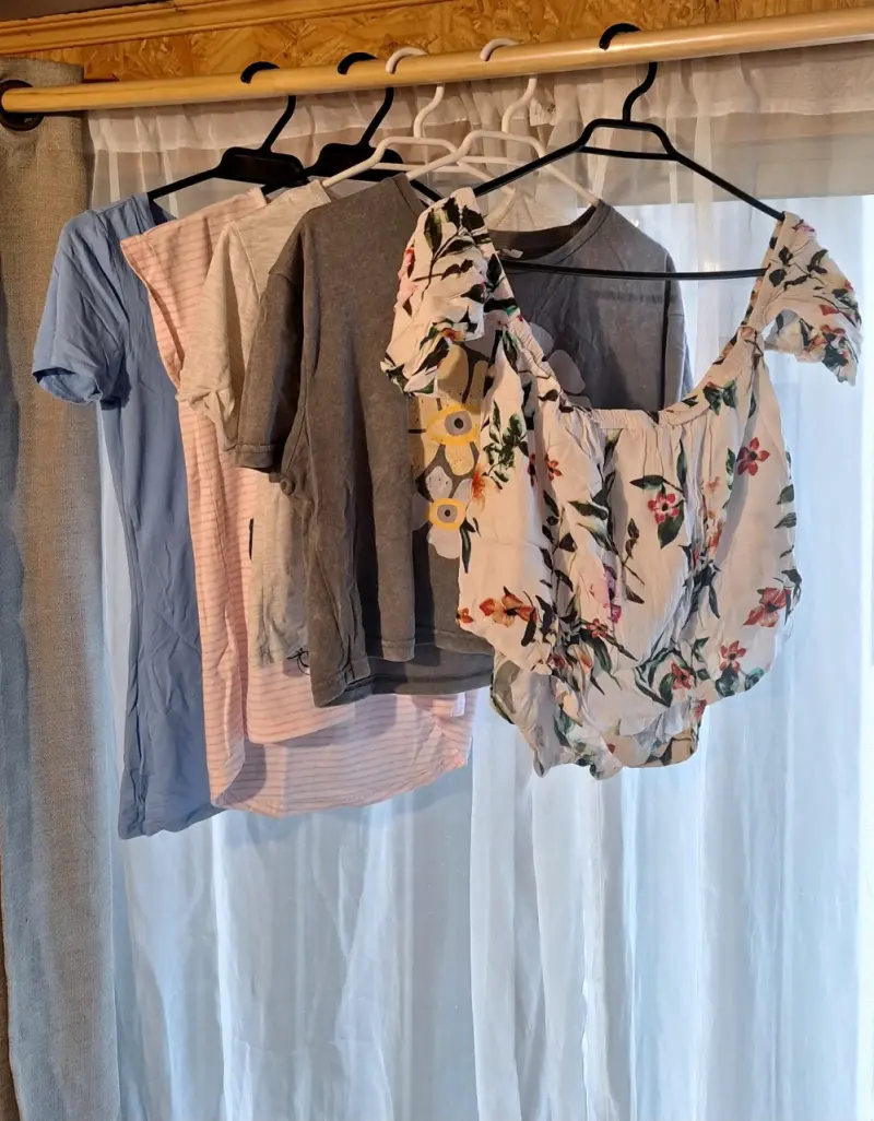 Lote de blusas y poleras - 3