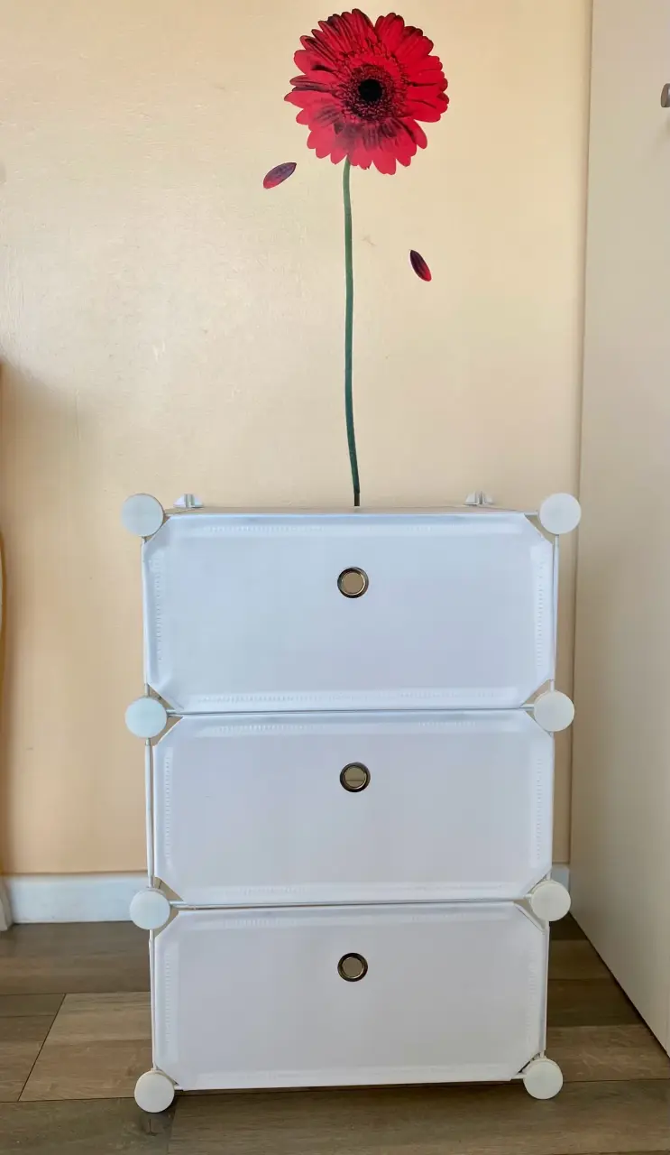 Organizador modular para zapatos o ropa - 2
