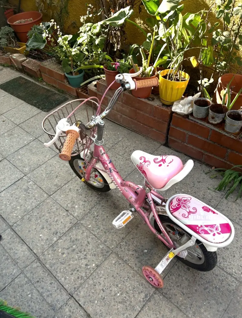 Bicicleta infantil rosada con rueditas - 5