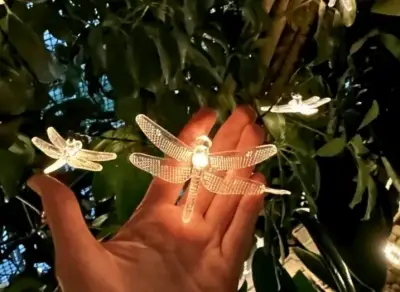 Luces decorativas solares - miniatura 2