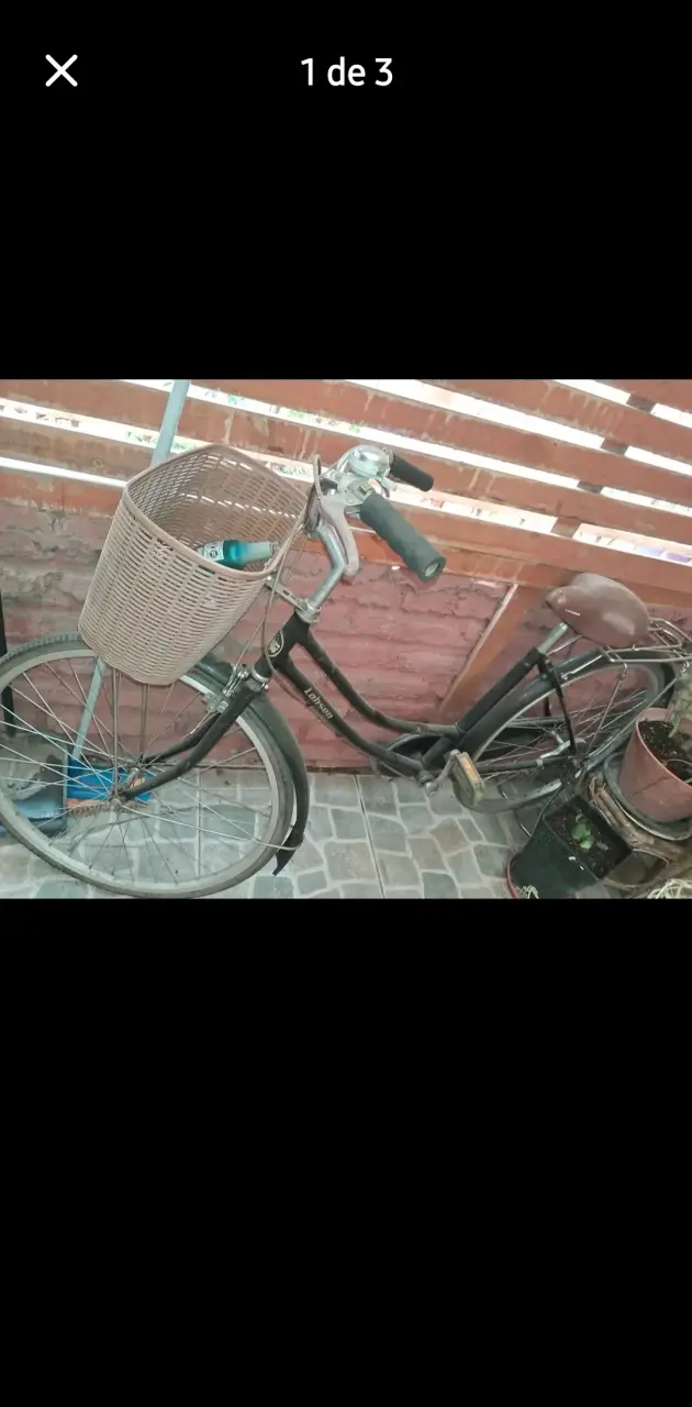 Bicicleta urbana con canasto