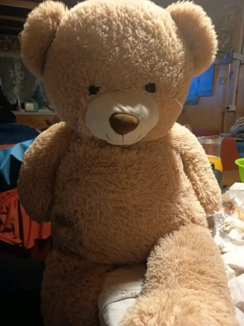 Peluche oso gigante