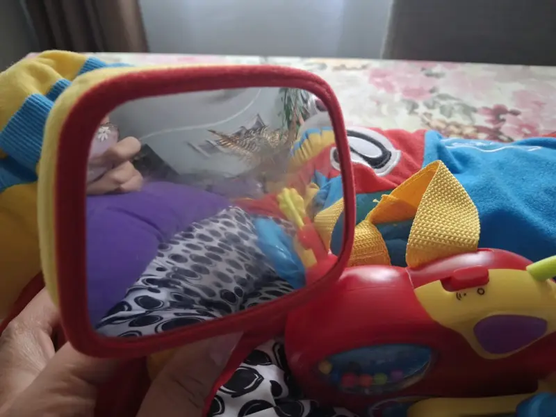 Auto Interactivo PlayGro - 4