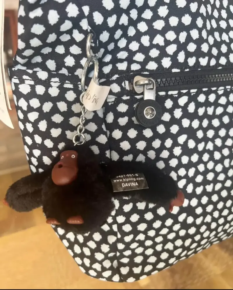 Cartera crossbody Kipling Modelo Alenya Print - 2