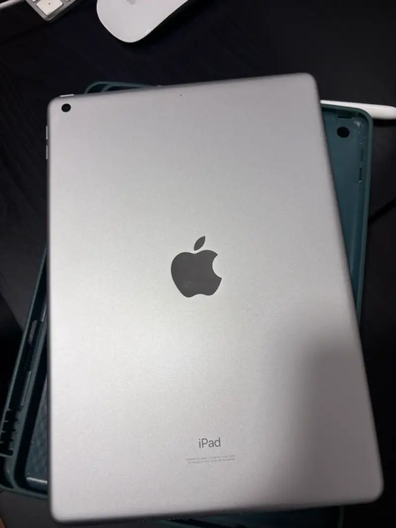 IPad con lápiz y funda verde - 4