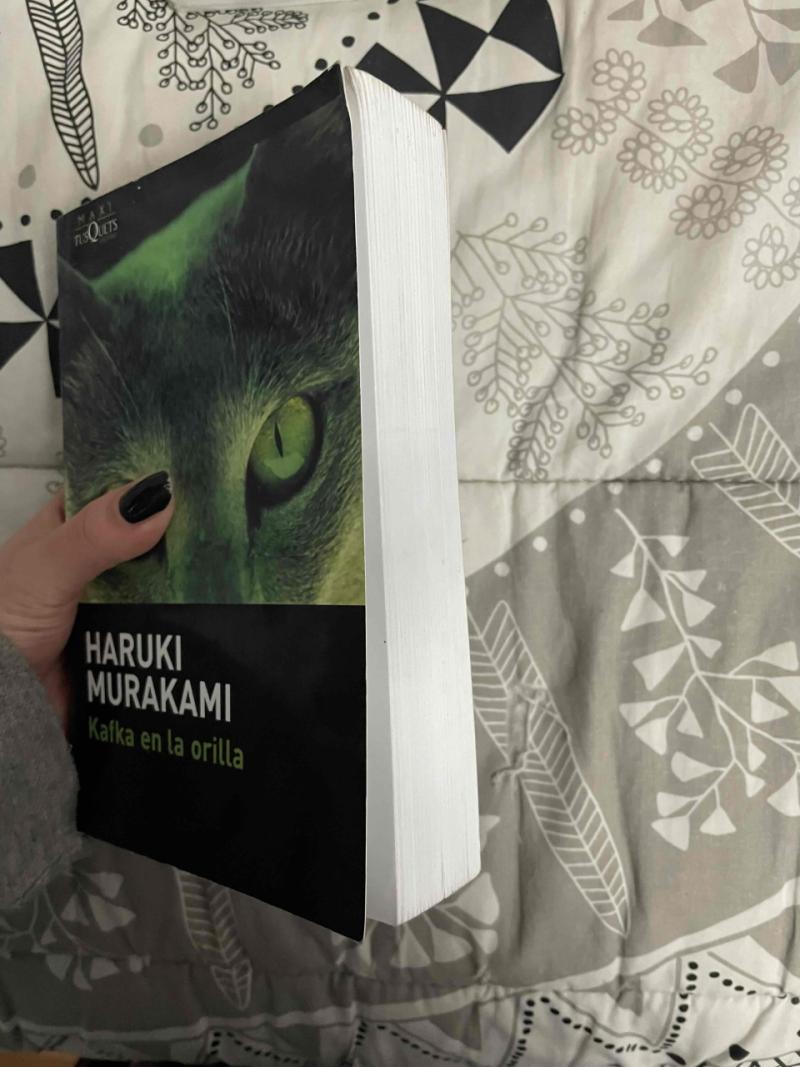 Libro Kafka en la orilla - Haruki Murakami - 2
