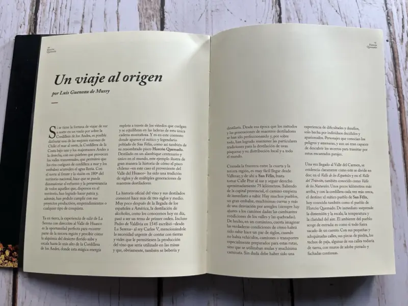 Libro Horcón Quemado un viaje al Origen - 4