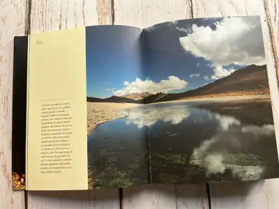 Libro Horcón Quemado un viaje al Origen - miniatura 6
