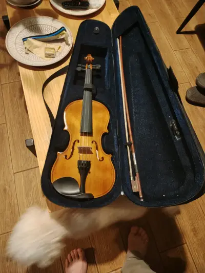 Vendo violín - miniatura 2