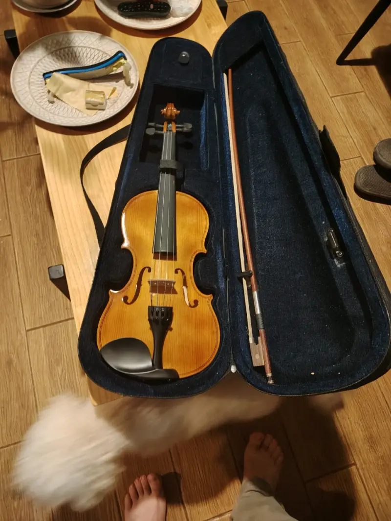 Vendo violín - 6