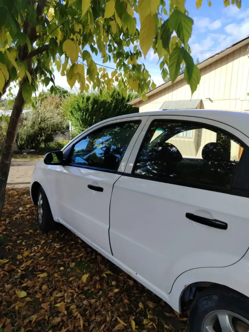 Chevrolet Aveo 2008 sedan - 3