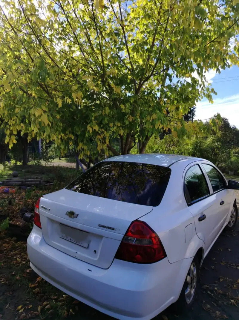 Chevrolet Aveo 2008 sedan - 4