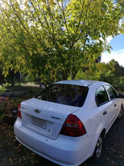 Chevrolet Aveo 2008 sedan - miniatura 4
