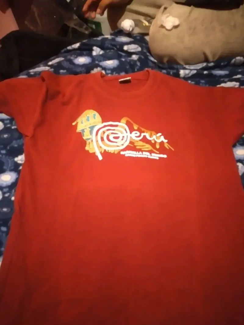 Polera roja Machu Picchu Perú - 2