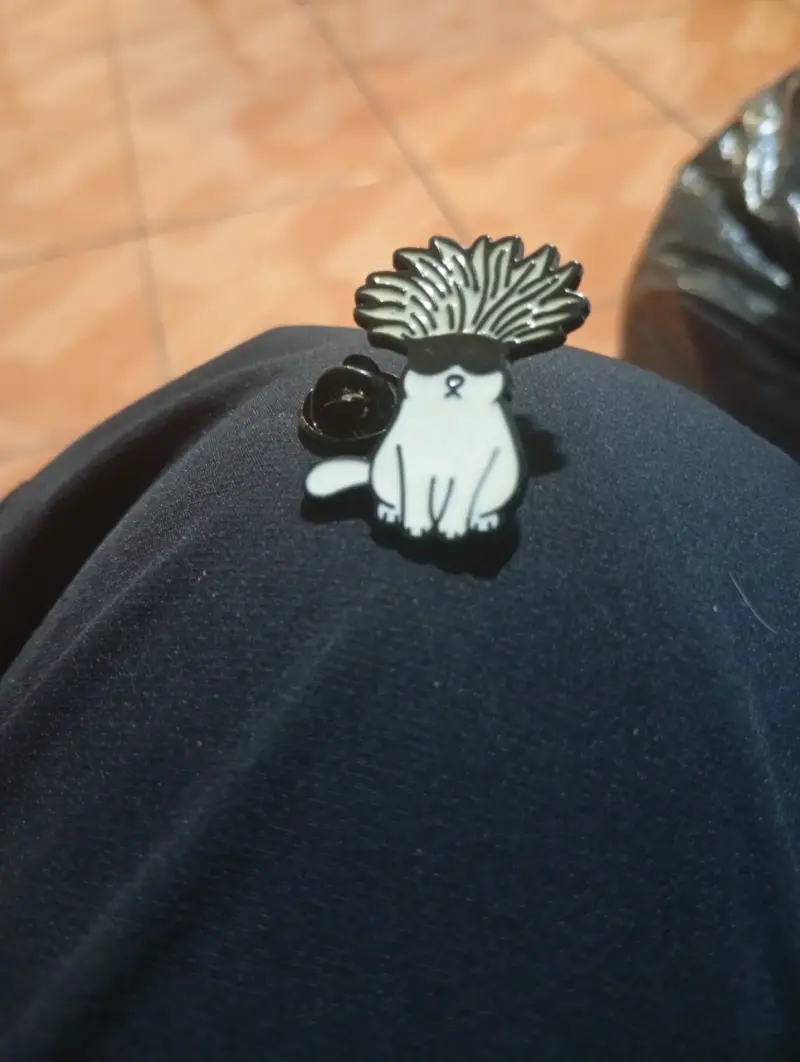 Pin de gato gojo