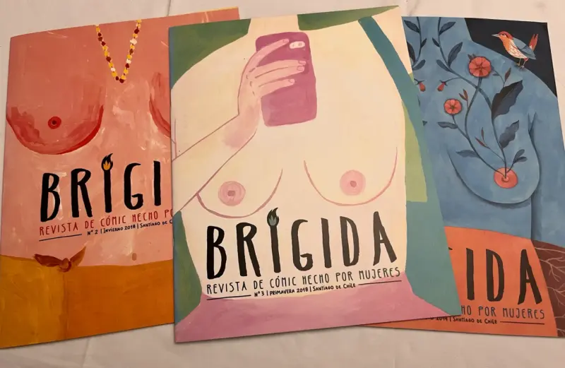 Lote Revistas Brígida- Números 2, 3 Y 4 - 1