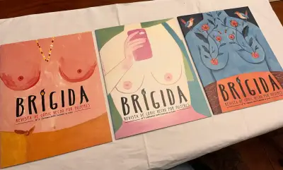Lote Revistas Brígida- Números 2, 3 Y 4 - miniatura 4