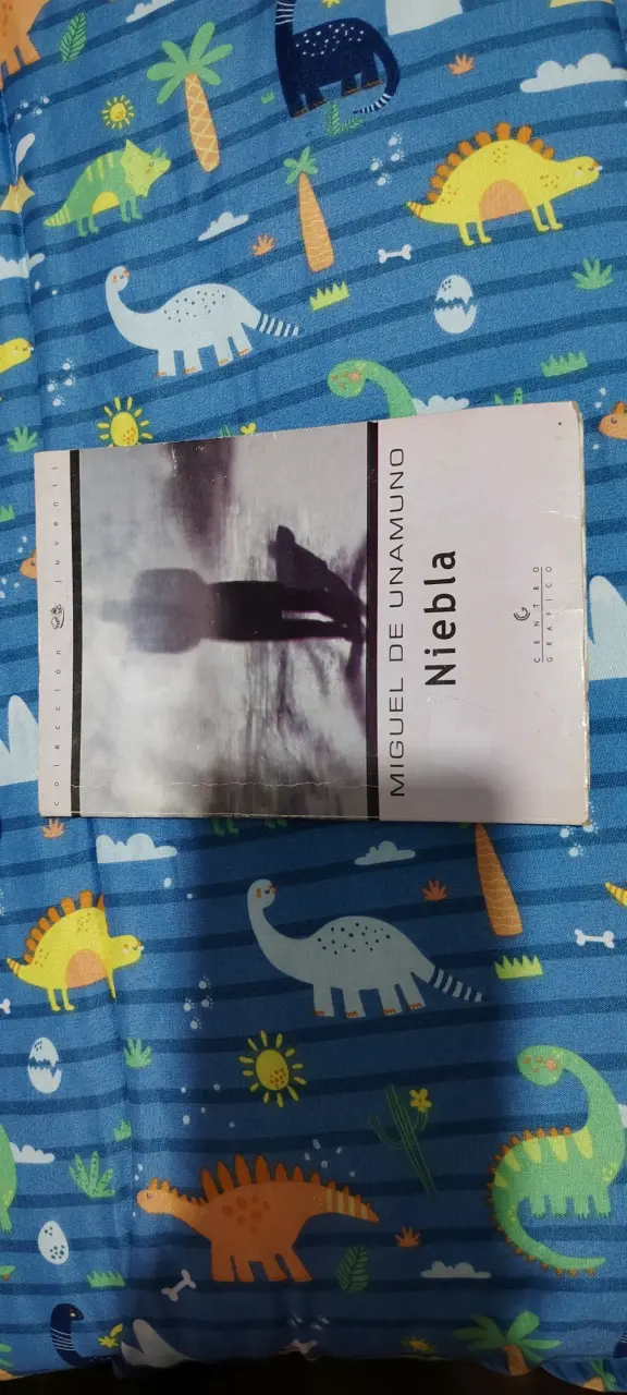 Libro Niebla de Miguel de Unamuno - 1
