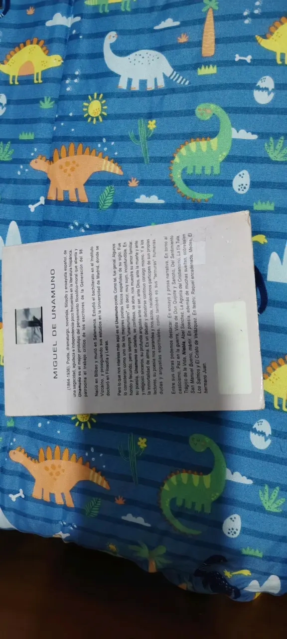 Libro Niebla de Miguel de Unamuno - 2