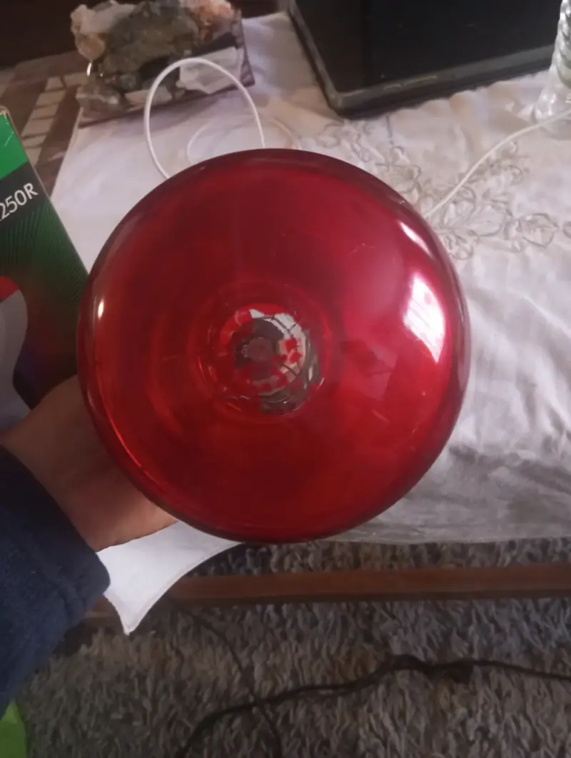 Ampolleta Infrarroja Philips 250W (Para Kinesiolog - 4