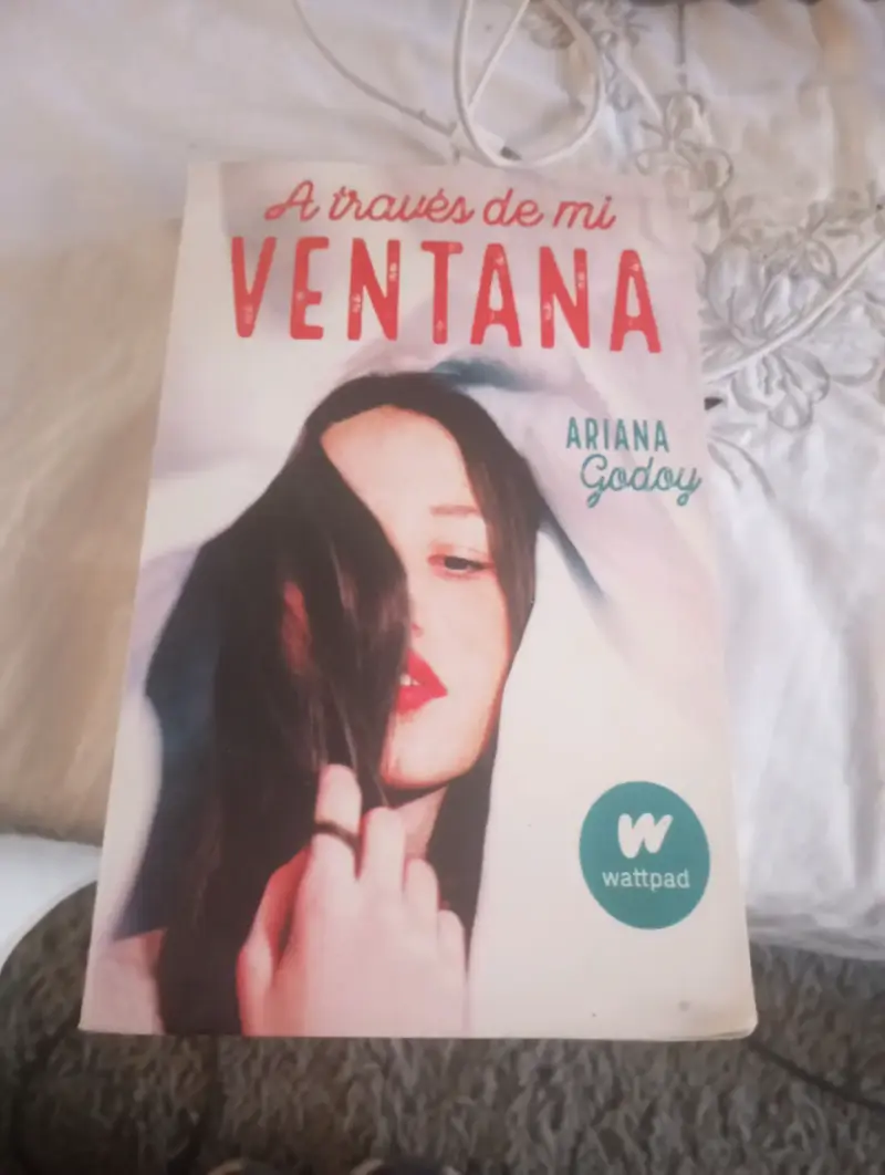 Libro A Través De Mi Ventana - Ariana Godoy (Excel - 1