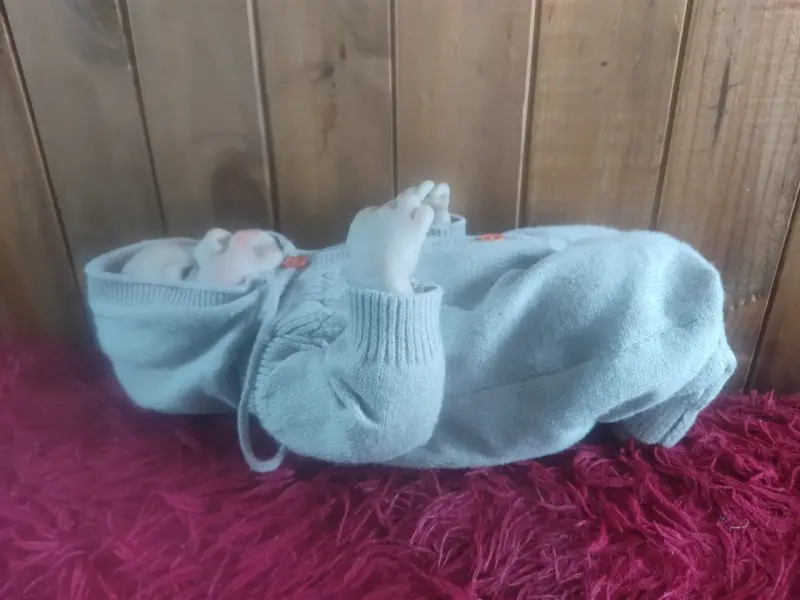 Muñeca reborn con accesorios - 2