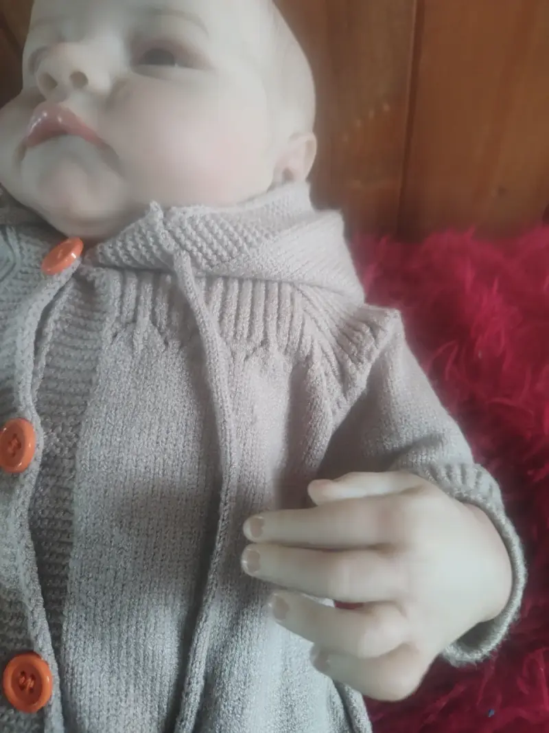 Muñeca reborn con accesorios - 4