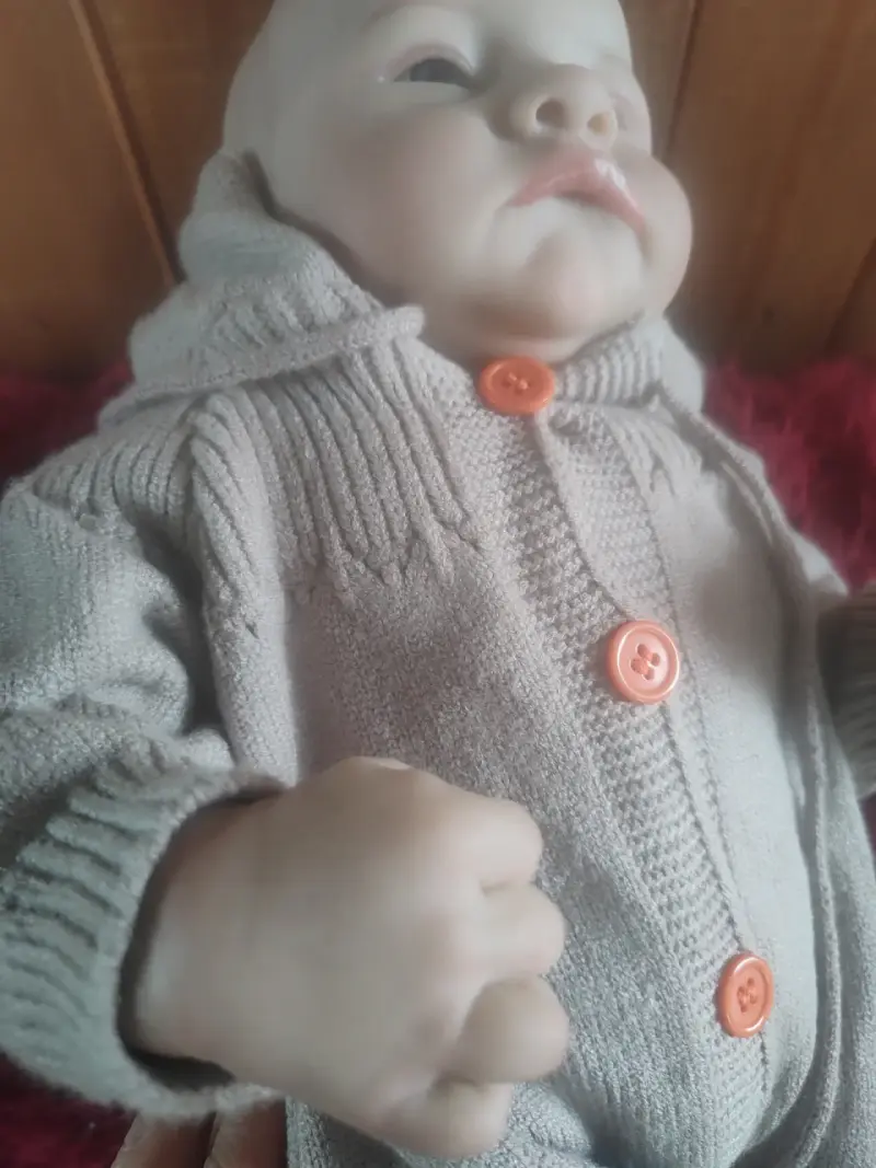 Muñeca reborn con accesorios - 6