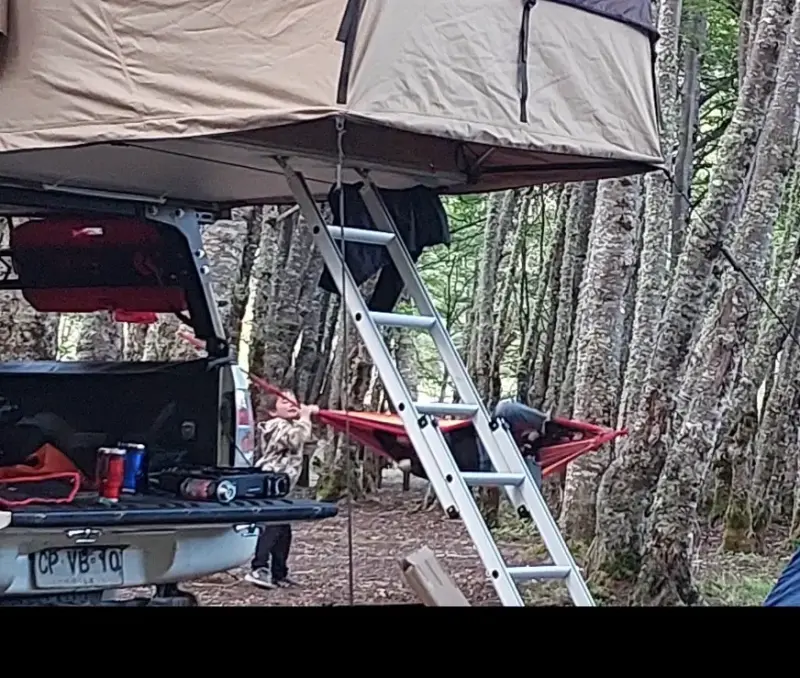 Carpa de techo - 2