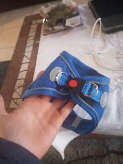 Arnés Chaleco para Perro Pequeño o Gato - Azul Ref - miniatura 1
