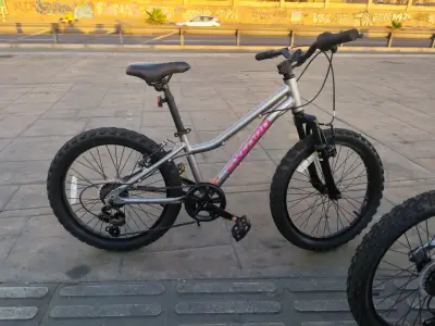 Bicicleta Oxford modelo Luna aro 20 - miniatura 1