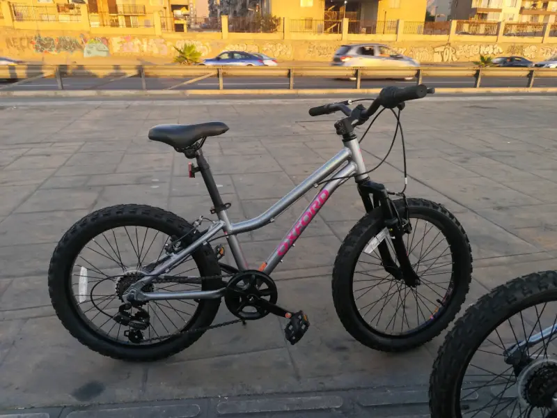Bicicleta Oxford modelo Luna aro 20 - 2