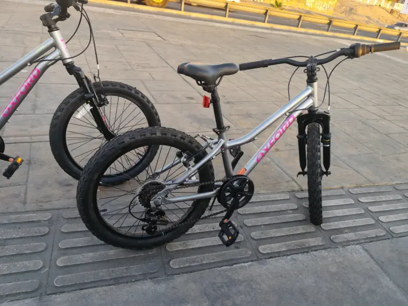 Bicicleta Oxford modelo Luna aro 20 - 3